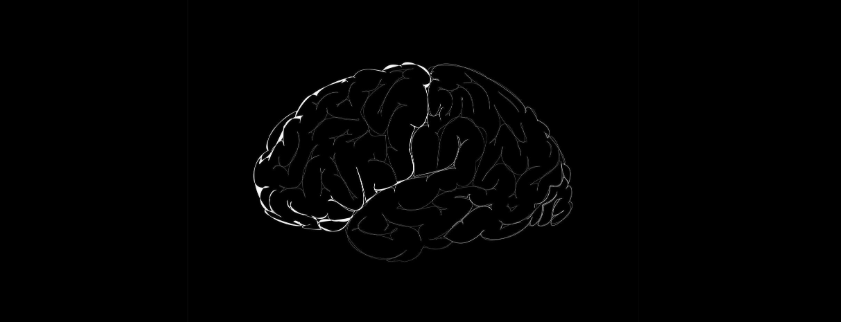 Describe the image properly